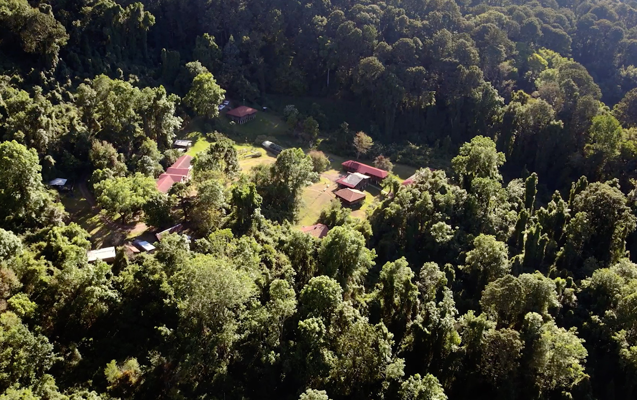 bosque02